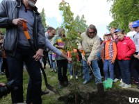 Акция «Дерево дружбы»