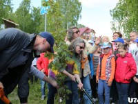 Акция «Дерево дружбы»