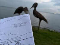 Блокнот приключений по Челябинску
