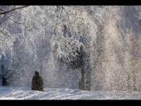 Прохожий
